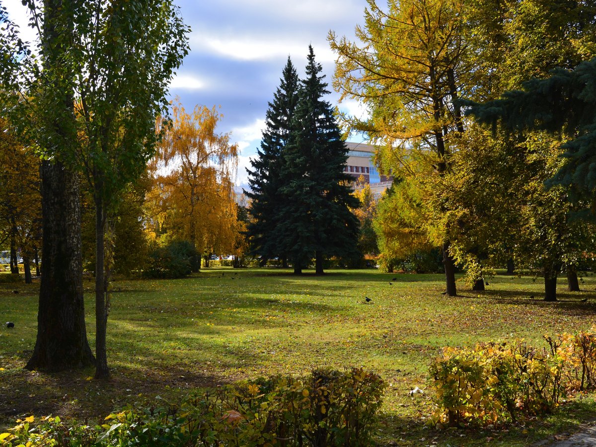 фотографии осени челябинск фото