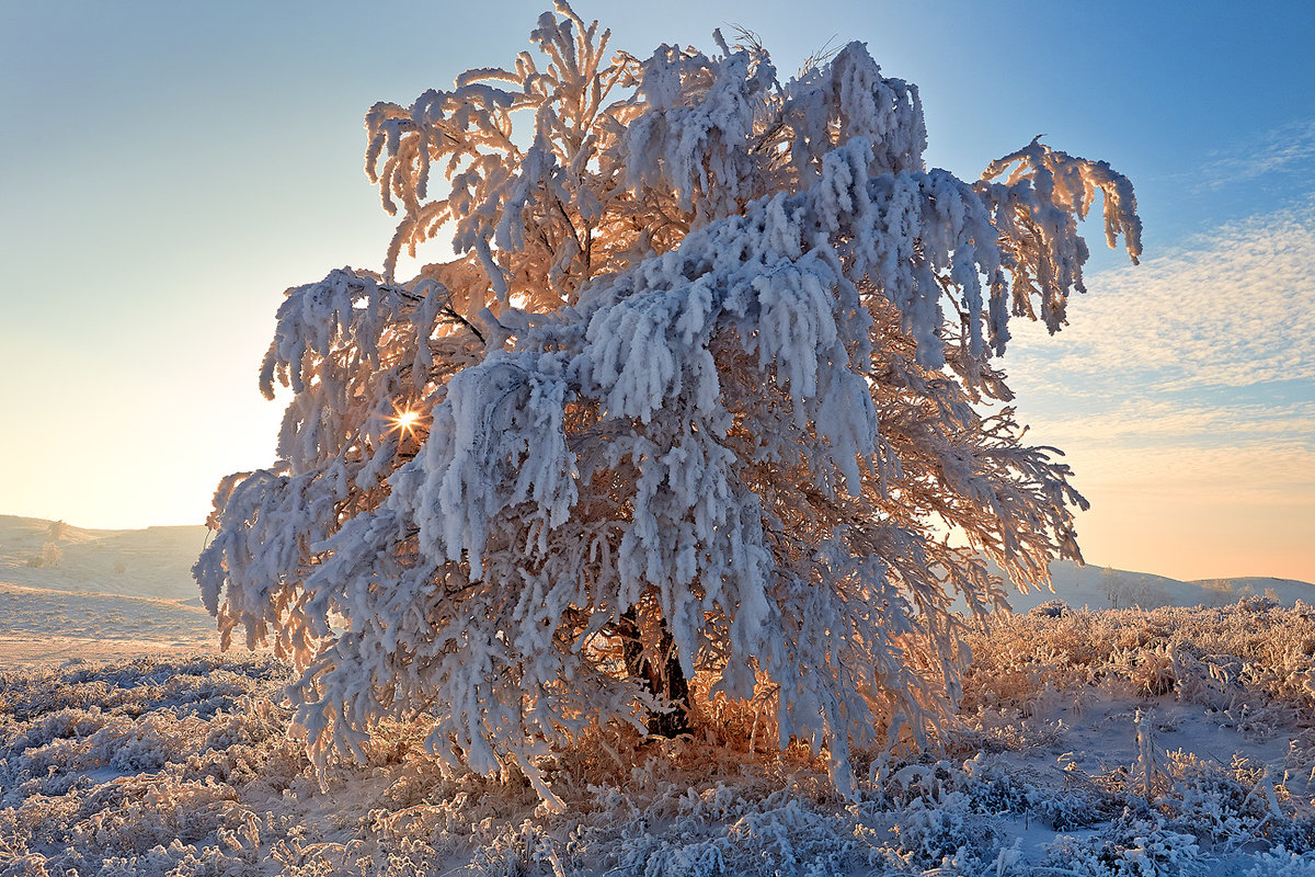 зимний пейзаж иней фото
