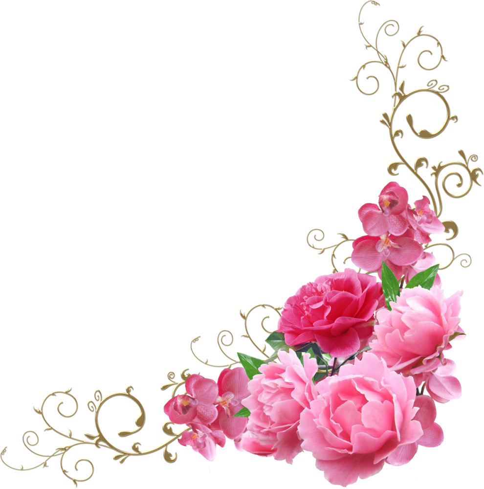 ���������� �������� �� ���� �������� ������