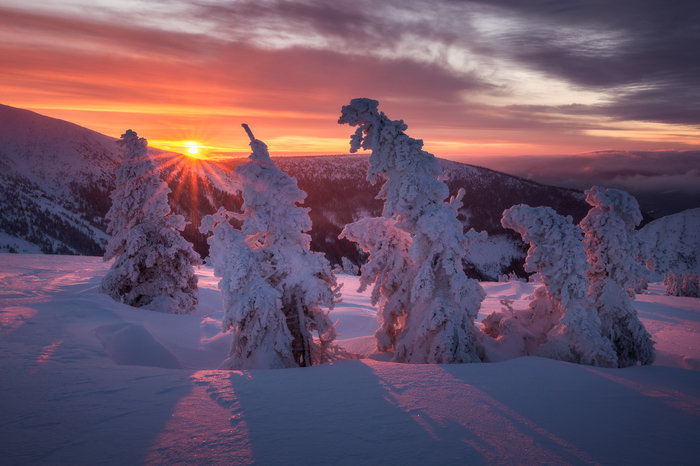 зимние пейзажи фото
