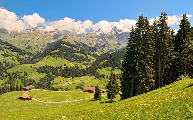 альпийские луга швейцария фото