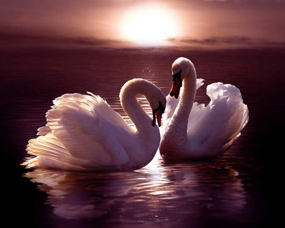 �������� ���� �������