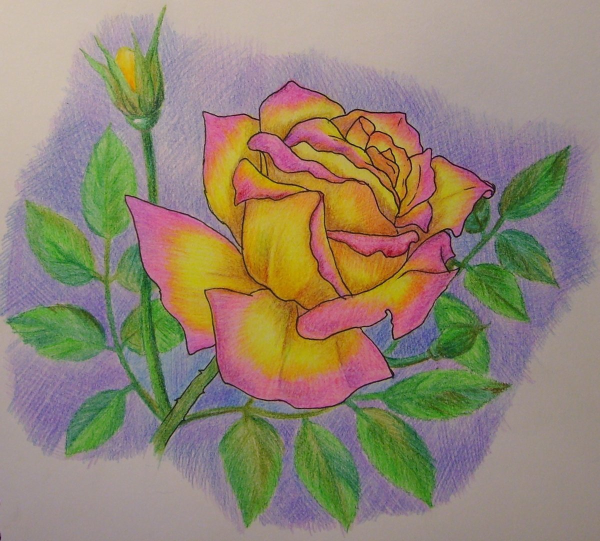 ������� �������� ���� ��������