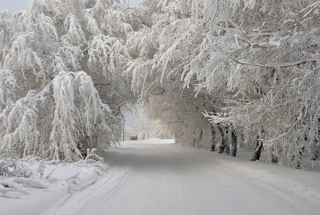 фото падающего снега фото