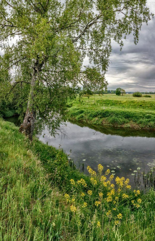 летние пейзажи россии фото