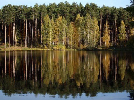 озеро еловое сосновый бор фото