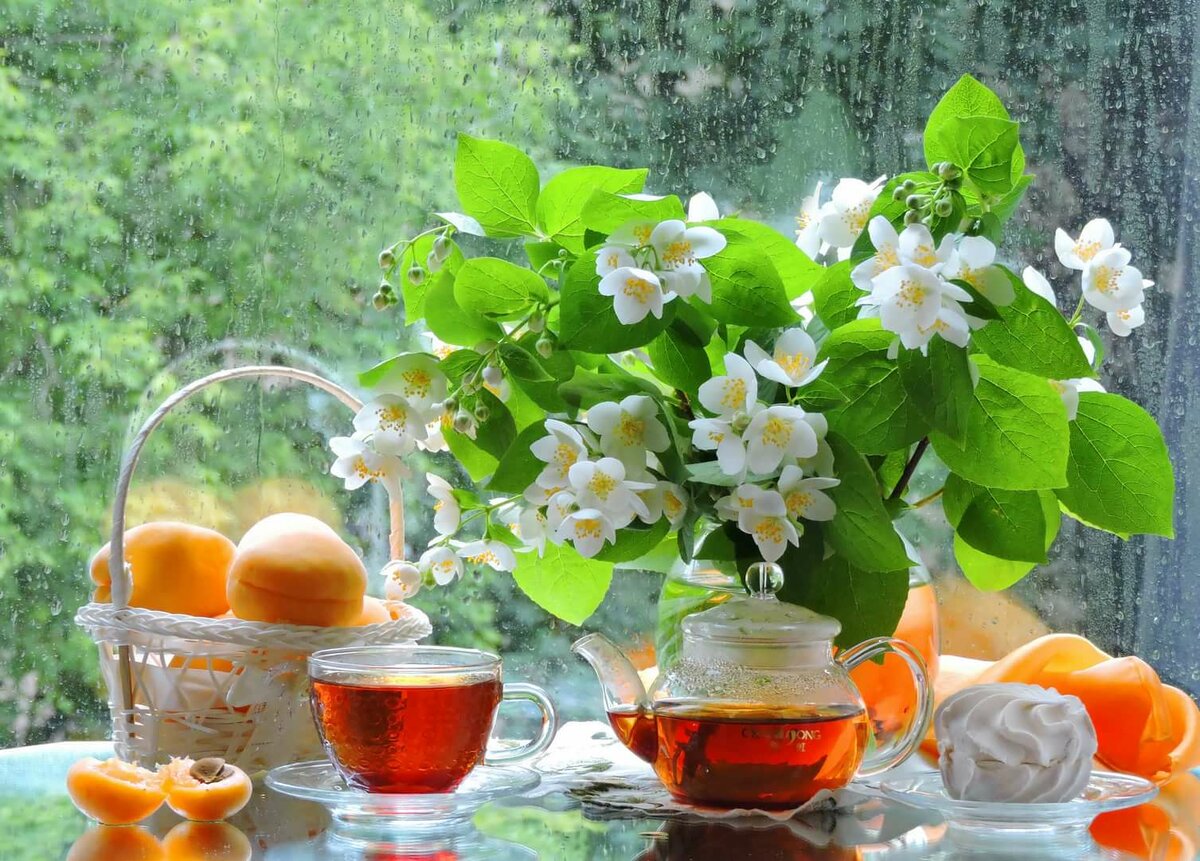 ��������, �������� � ������ ������ ����� � �������