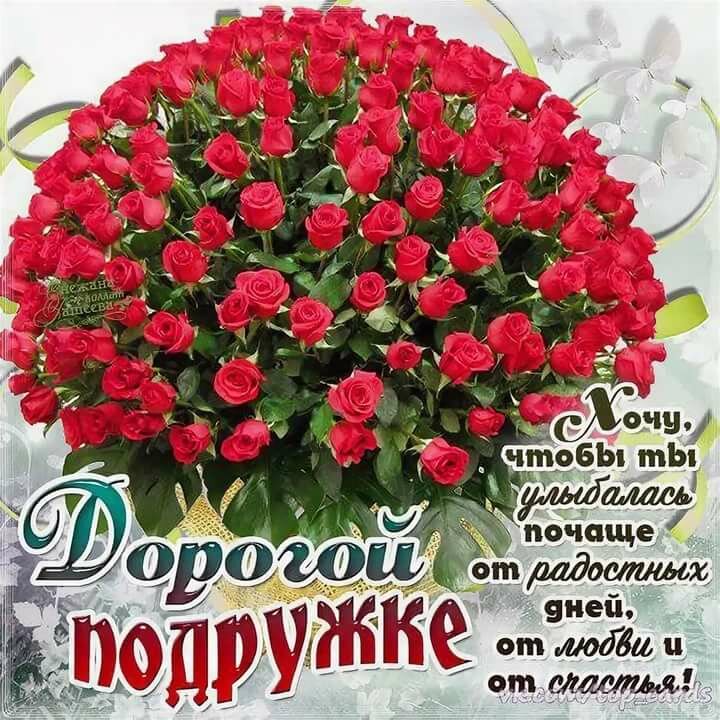 � ���� �������� ������� ������� ��������