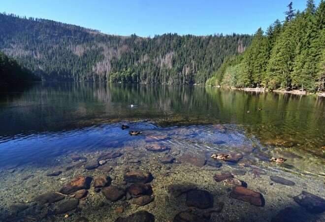 чертово озеро шумава чехия фото