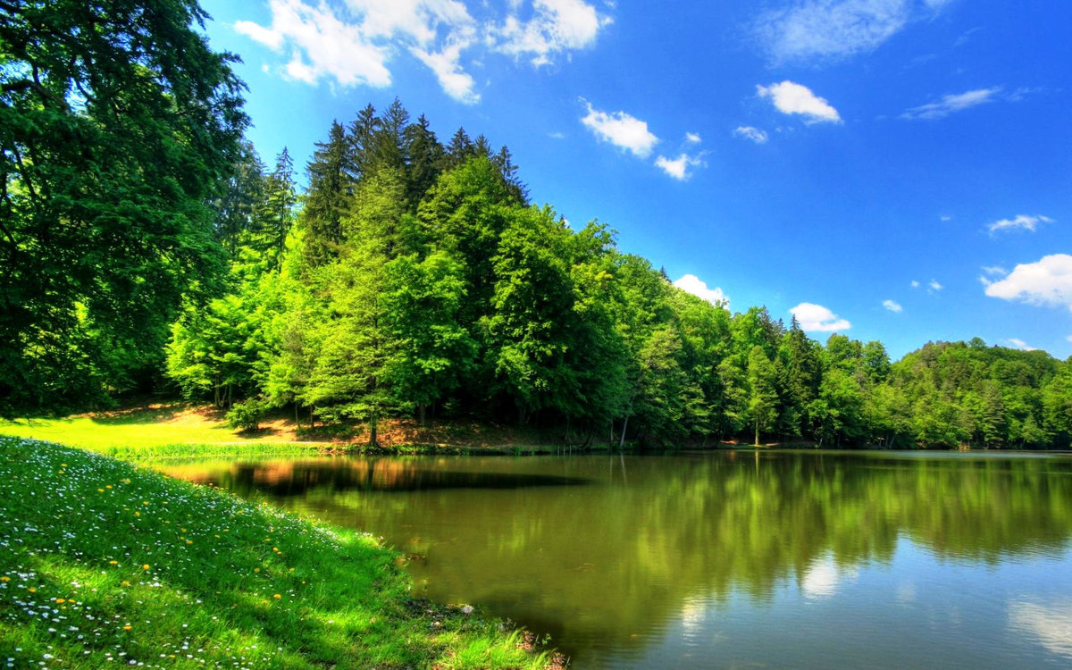 ��������, �������� � �������� �� �������