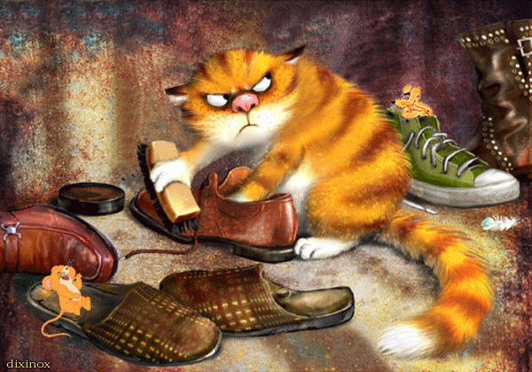 Кот чистит туфли