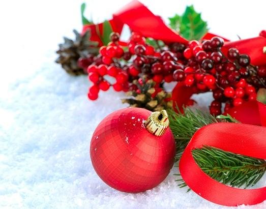 новогодняя ветка фото