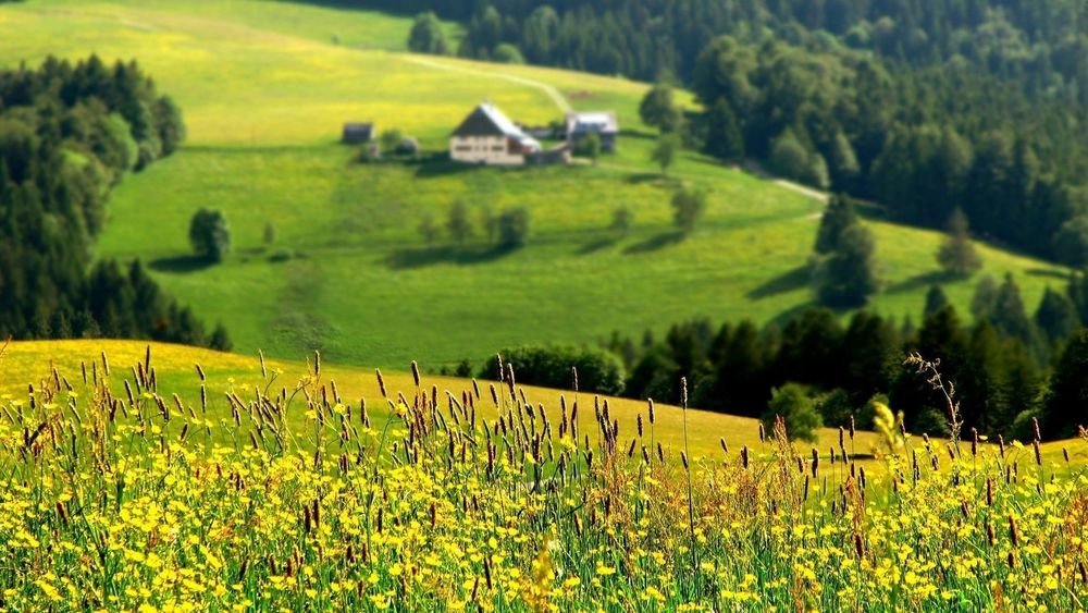 картинки на рабочий стол деревня летом фото