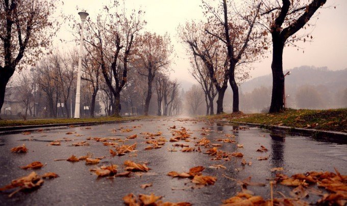 хмурая дождливая осень фото