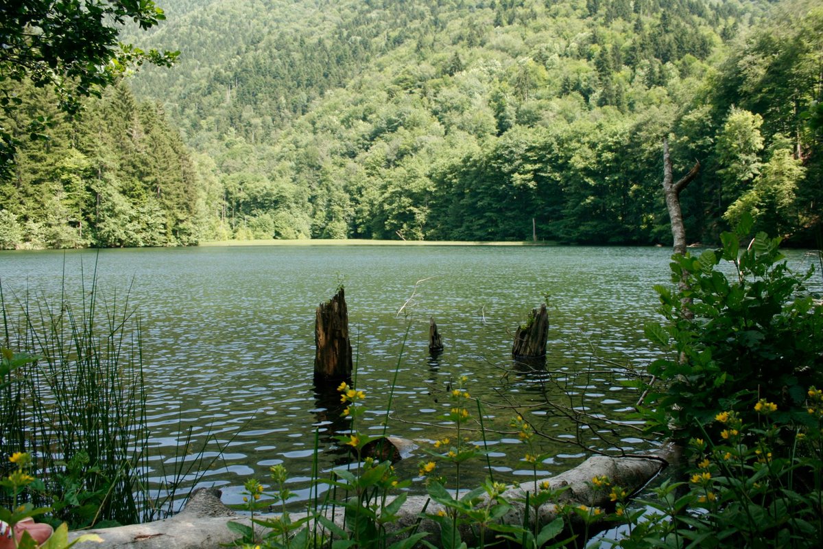 озеро батети грузия фото