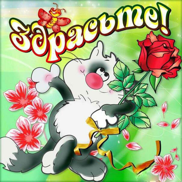 ������ ������, ������ �������� ������