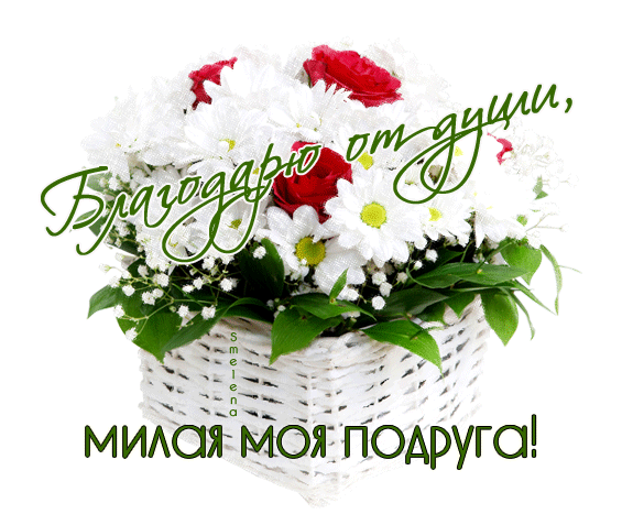 ��������, �������� ������� ��� ����� �������