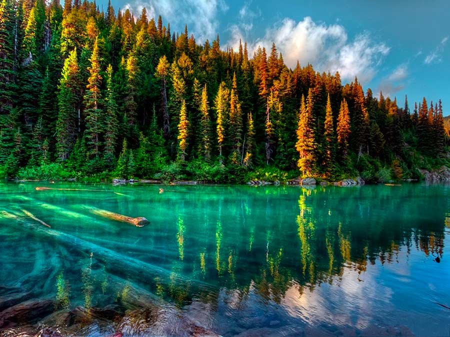 красивая тайга фото
