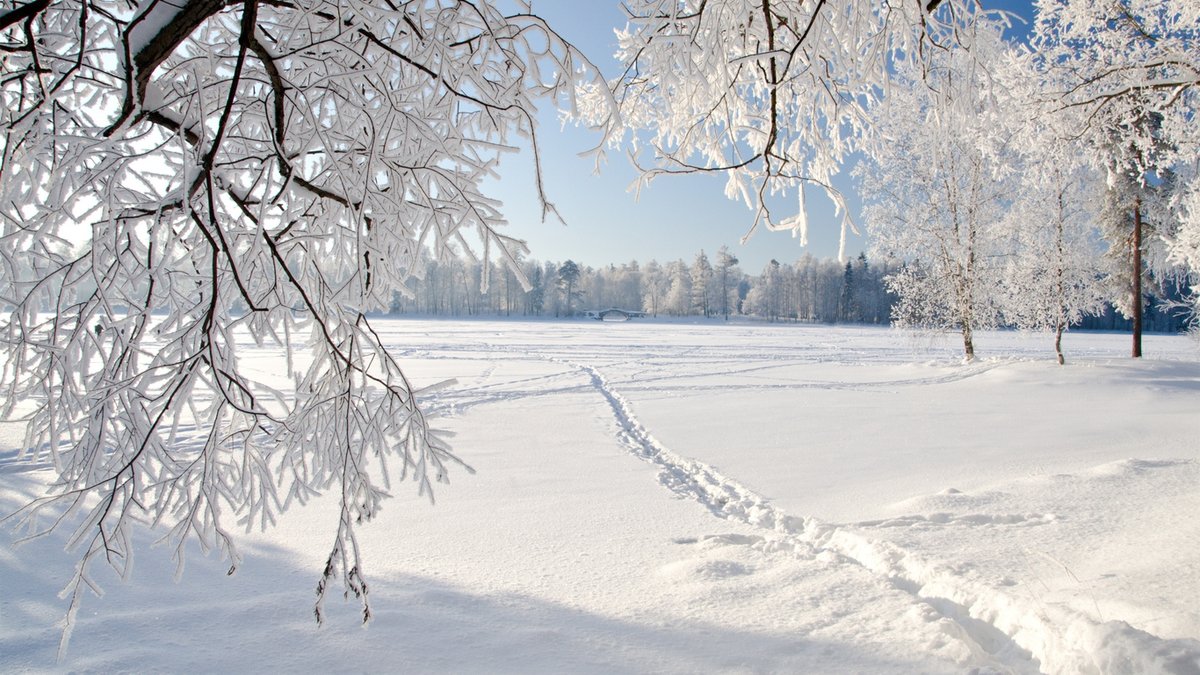 зима снег фото
