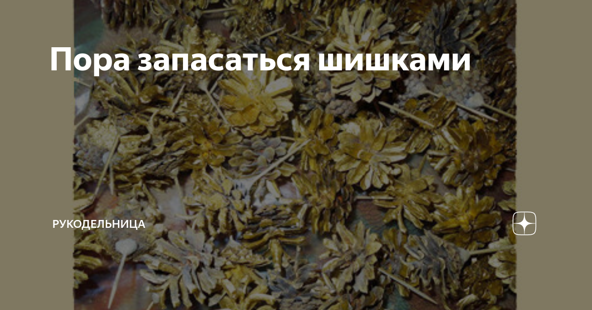 тмин зира кумин фото