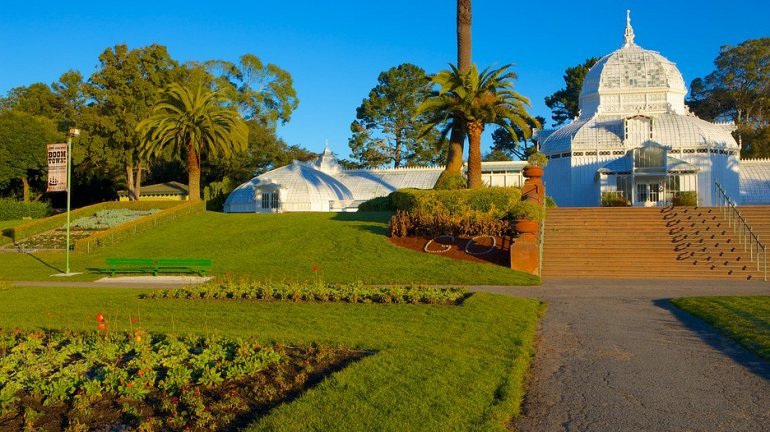 golden gate park фото