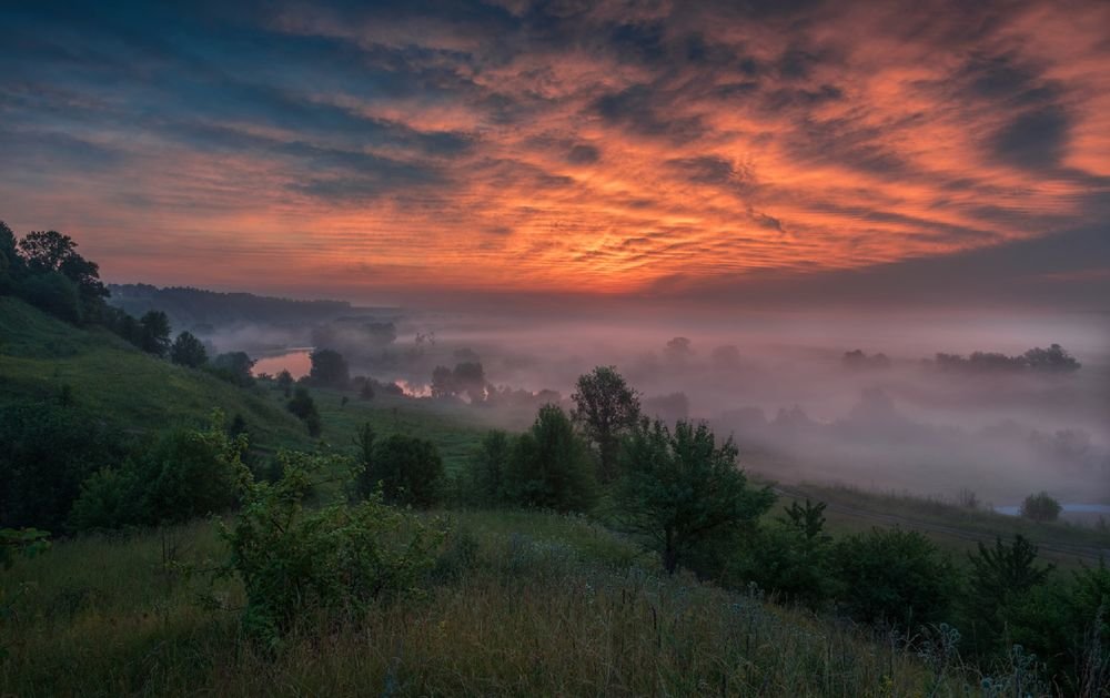 утренний туман фото