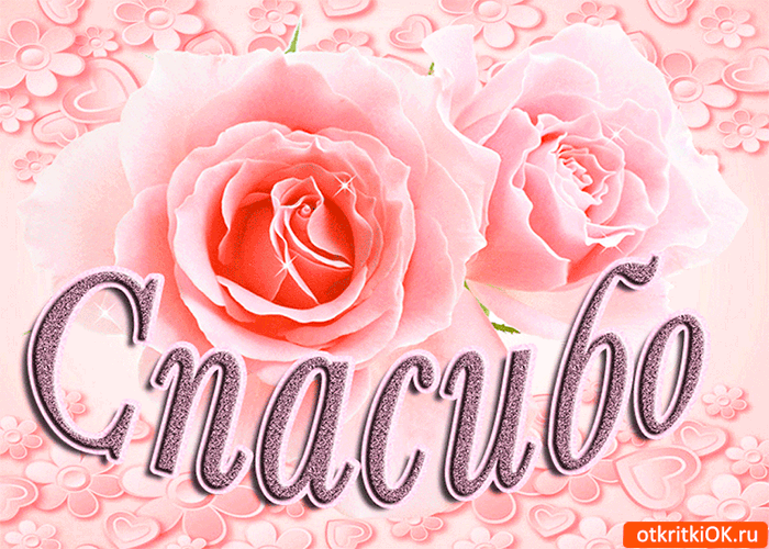 ������� �������� � �������� ��������, �������� ��������