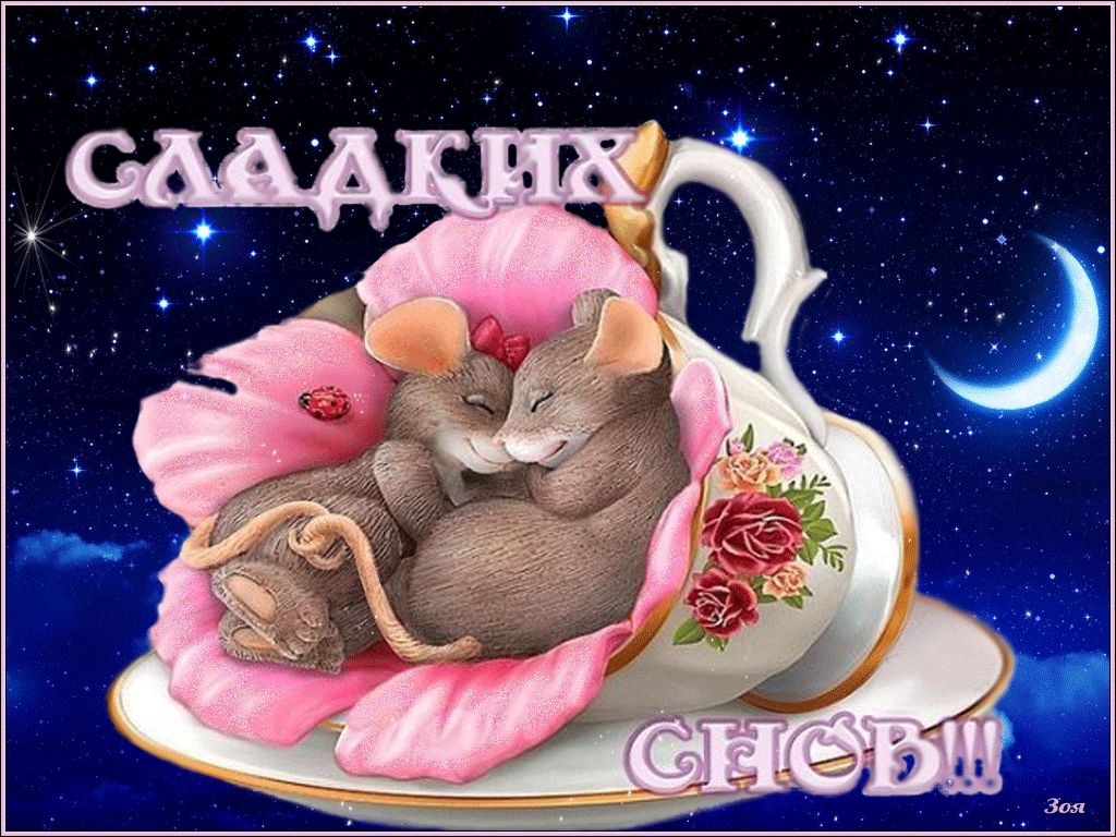 ������, ��������� ��������� ���� ������������� ��������