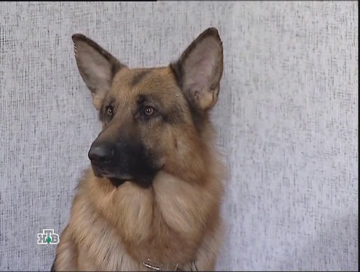 �������� ������� �������