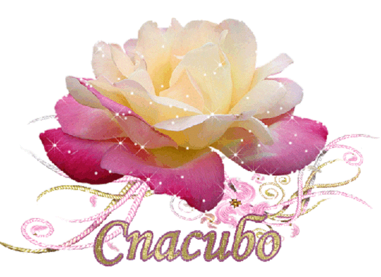 �������� ���� �������� �������