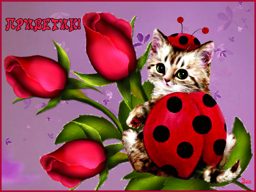 ���� ��������, �������� � ��������� ������