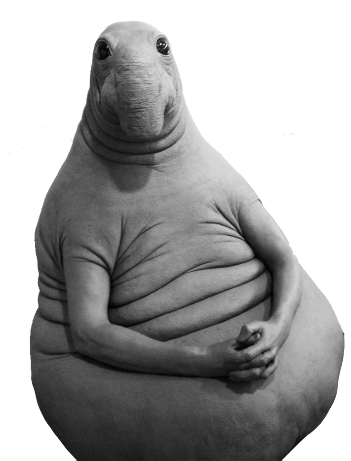 ��� ������ ���������� ��������, ����