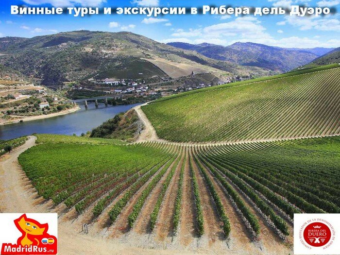 испания рибера дель дуэро фото