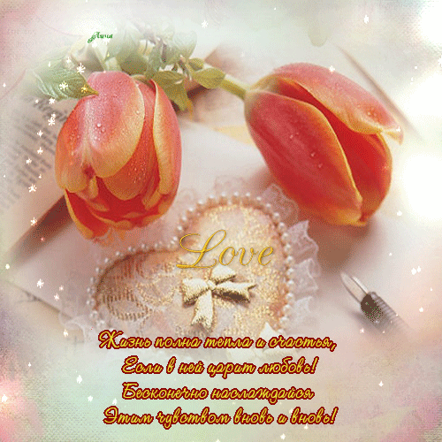 � ���� ������� ��������� �������� ��������, �������� ��������