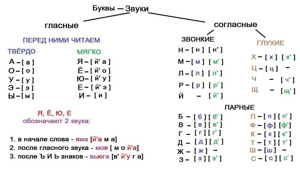 Фонетический разбор слова корова 1 класс цветовая схема