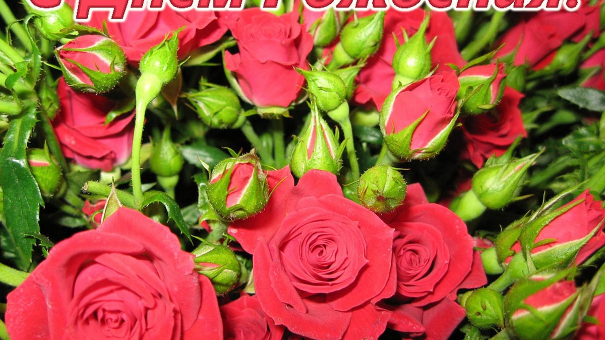 �������� �������� � ������� � ���� �������� �������