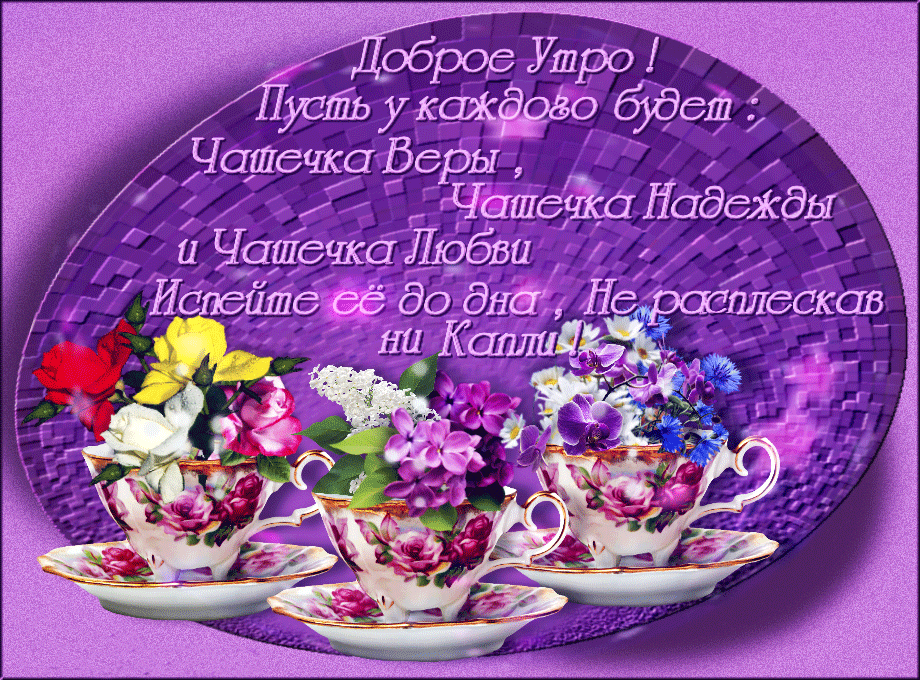 ����, ������ ���� ������� ��������