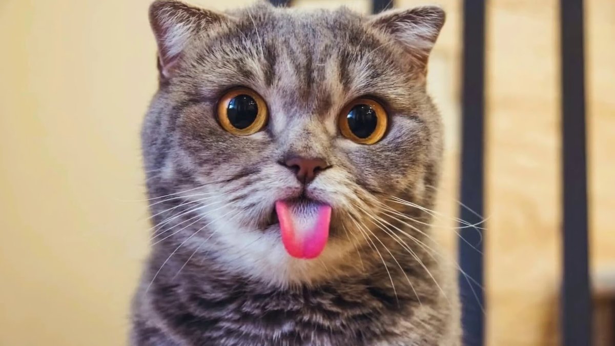 ��������, ������� �������� � ������ ��������