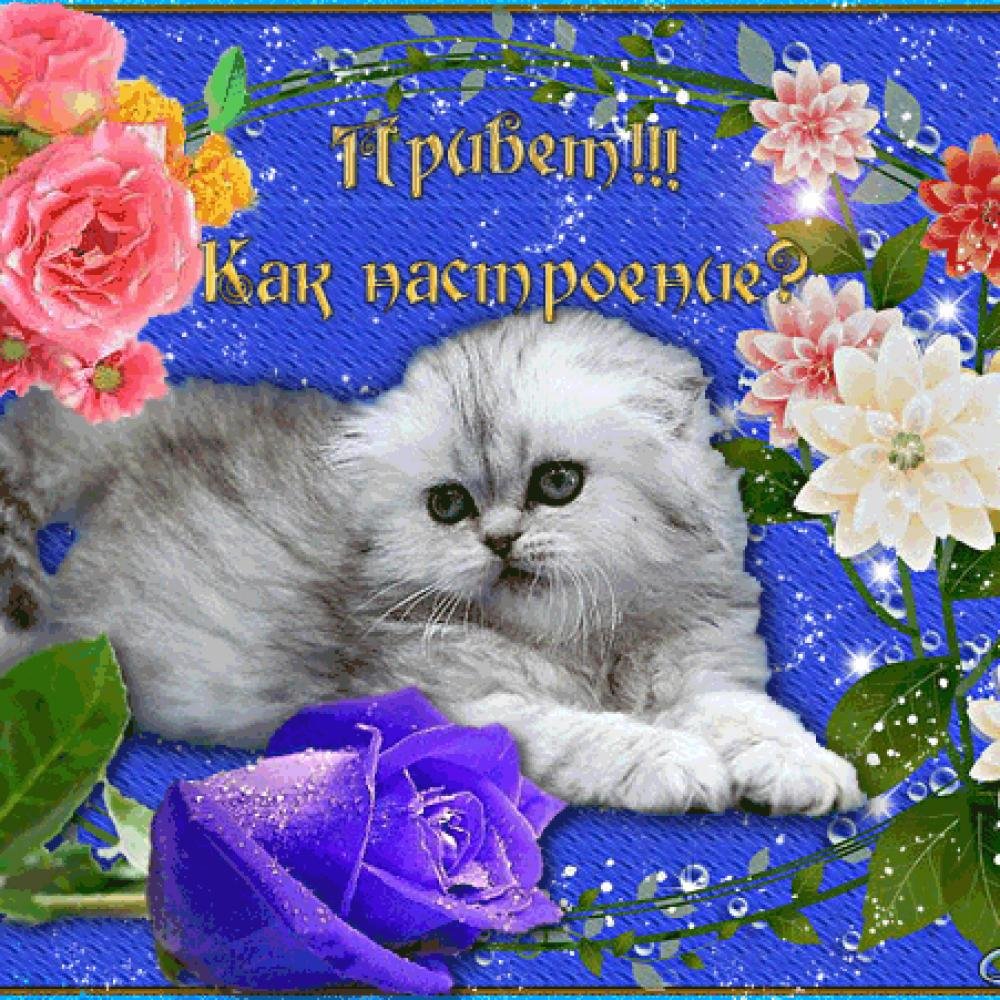 �������, ������ ������������ �������� ��