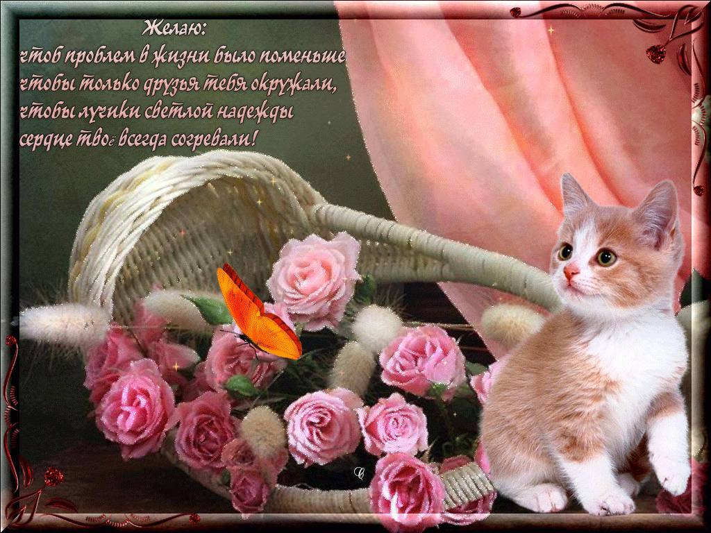 ��������� � ���������