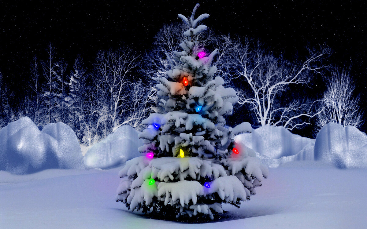 новогодний лес фото
