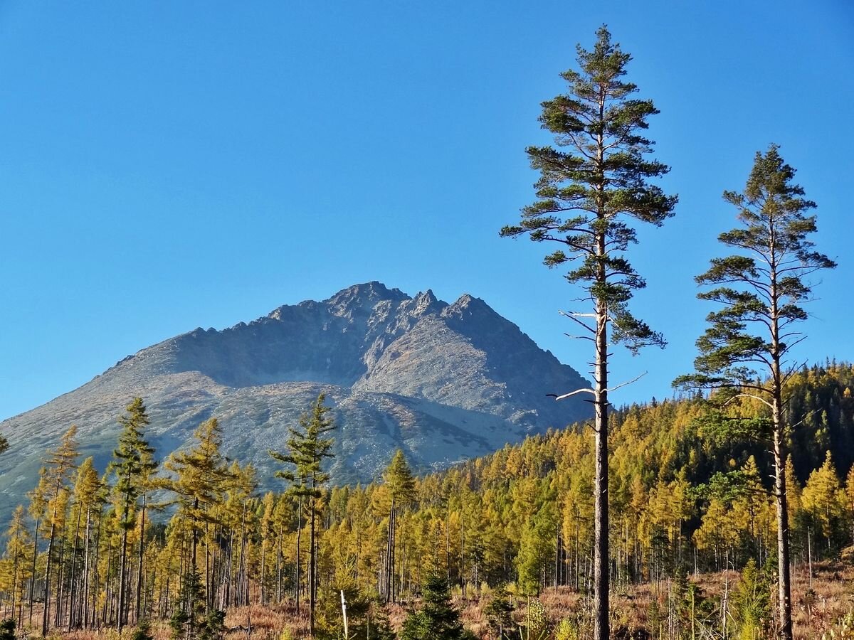 гора манарага фото