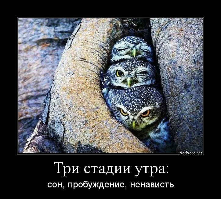 ������� �������� ��� ����������� �����, ������ 2015 ������������