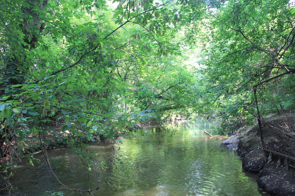 река кундрючья фото