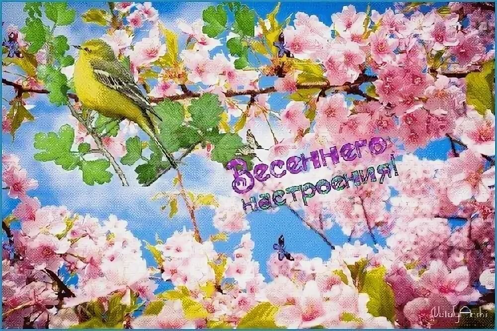 �������� ���� ����� ��������