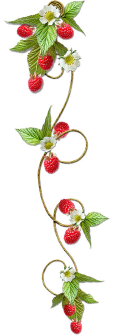 ���, ������ �������� ��� ����������