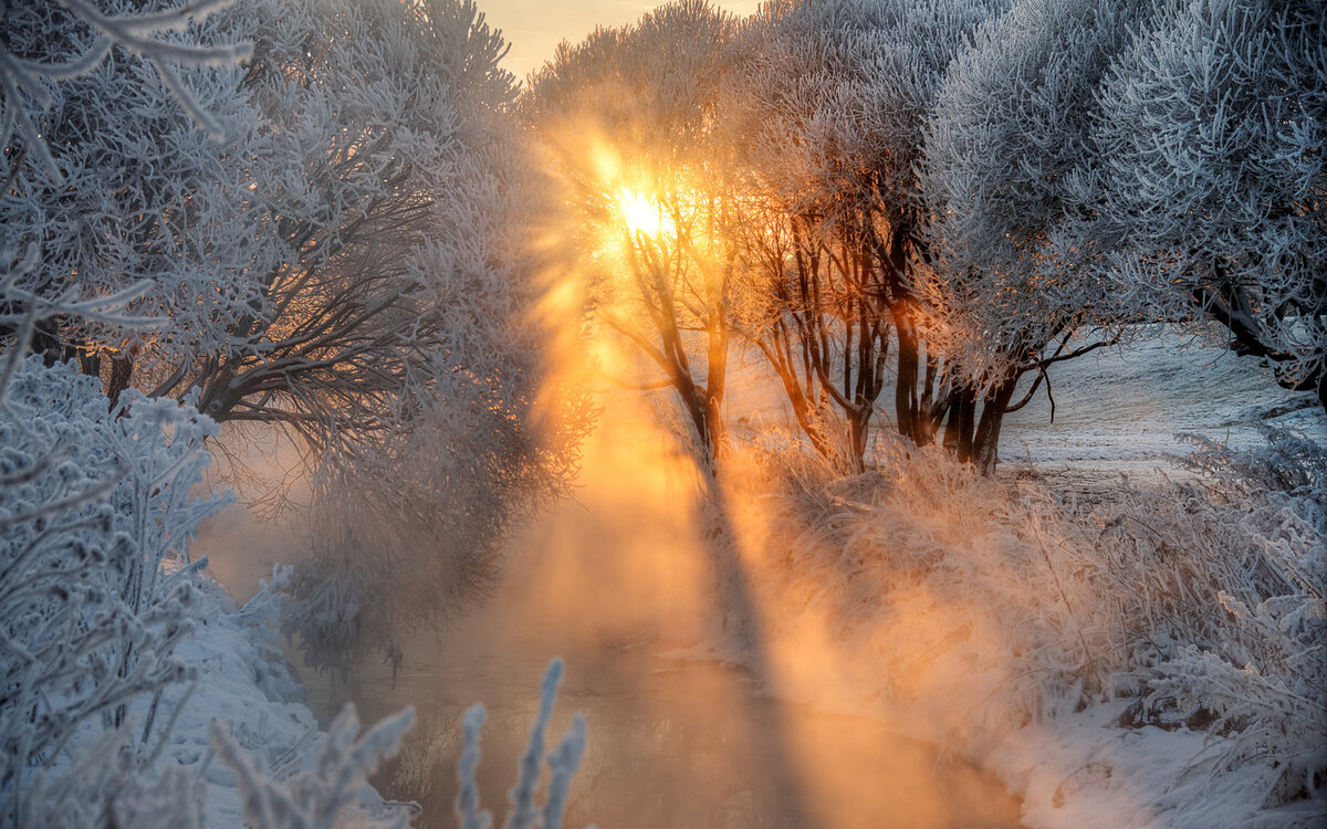 рассвет зимой фото
