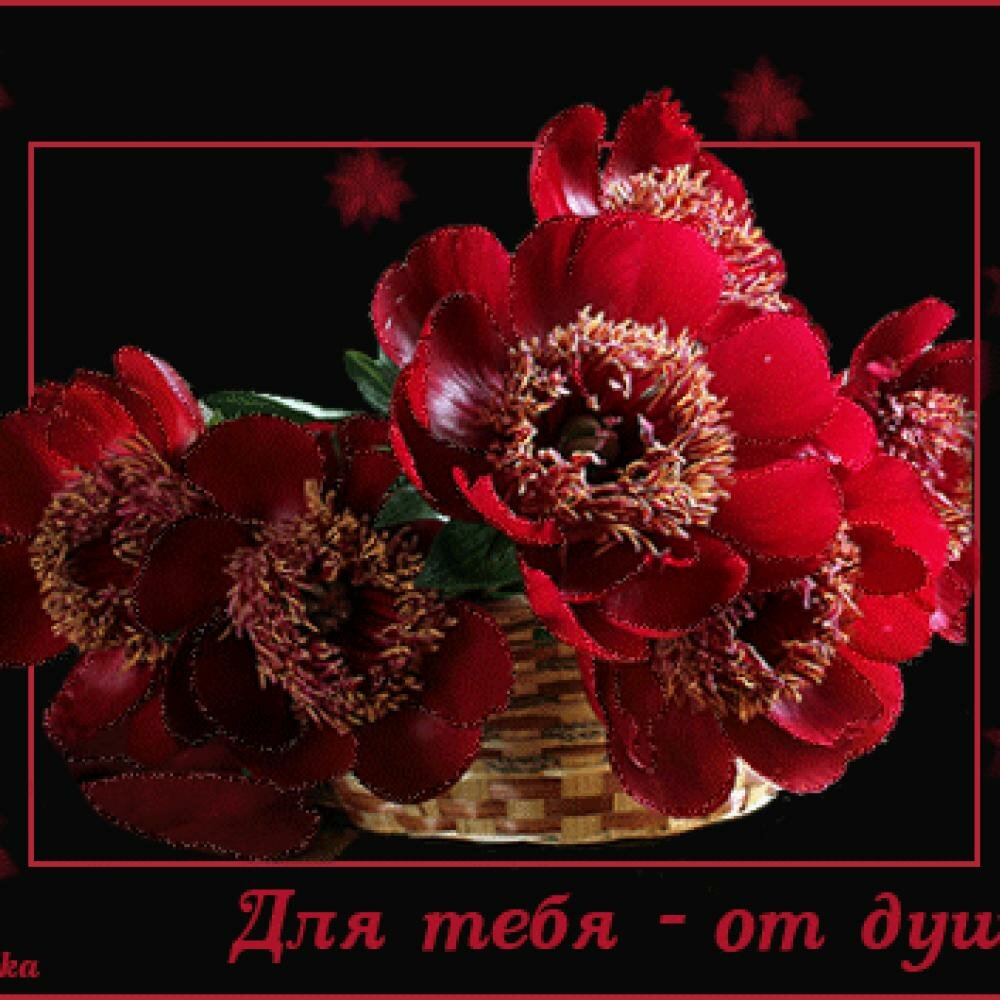 �������� �� ���� ���������, �������� ������