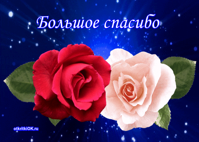 ������� �������� �������, ���� ������