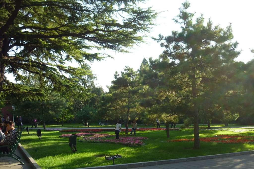 пискаревский парк в санкт-петербурге фото